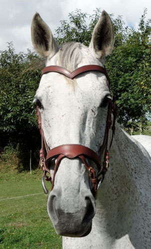 briderie: filet harnachement cheval sur mesure, cuir, 100% fait main, français